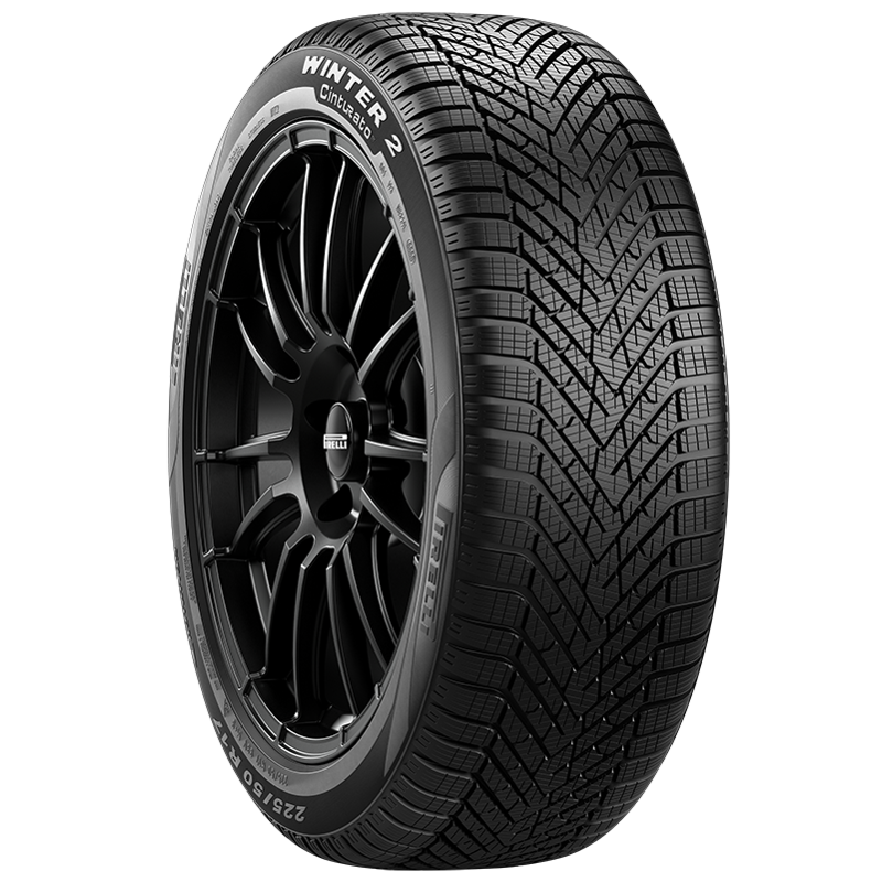 Шины Pirelli Cinturato Winter 2 195/55 R16 91H XL