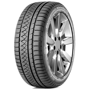 Шины GT Radial Champiro WinterPro HP 195/55 R16 87H